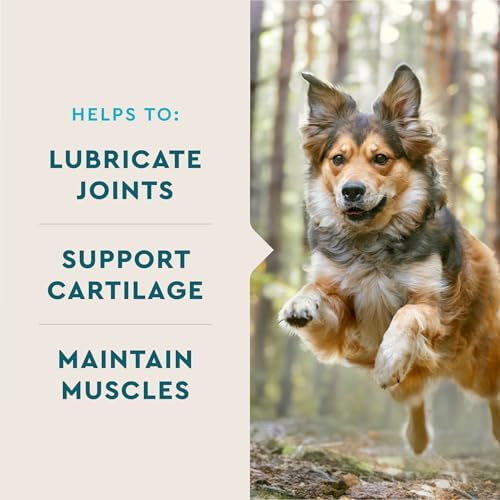 VetIQ Glucosamine Hip & Joint Supplement for Dogs, 60 Soft Chews, Joint Support Supplement with MSM and Krill, Dog Health Supplies Large & Small Breed, Chicken Flavored Chewables - Image 2