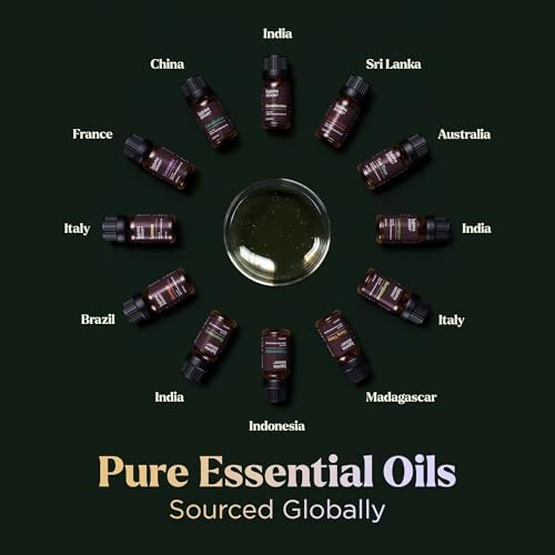Lagunamoon Essential Oils Set - 12 Piece Premium Grade Home Essentials Oils - for Diffusers, Fragrance, Scents for Candle Making - Natural Aromatherapy Oils for Cars & Home Products, Room Sprays - Image 3