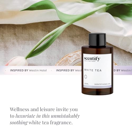 Scentify White Tea Aroma Oil Refill for Diffusers – Citrus, White Tea & Soft Florals, Amber Woods & Palo Santo – Luxury Aromatherapy Fragrance – 100ml / 3.38oz - Image 4