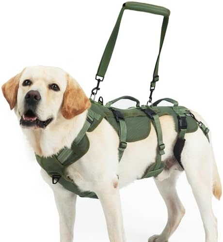 PUPTECK Dog Lift Harness for Medium Large Sized Dog, Rehabilitation Sling for Hind Leg Support, Multifunctional Mobility Assistance Harness for Old, Disabled, Joint Injuries, Paralysis Dogs, Green L by PUPTECK
