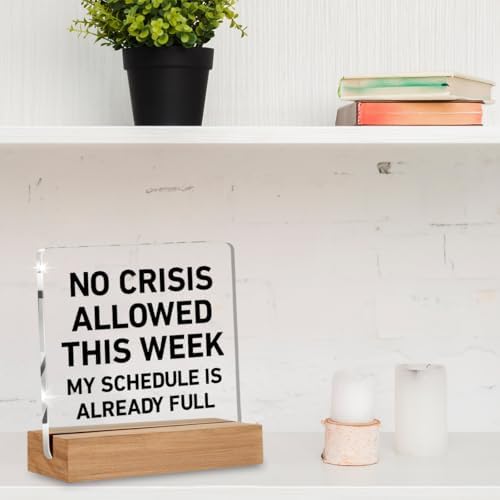 Boss Day Gifts, Cool Gifts for Bosses Women Men, Funny Boss Gift - Image 4