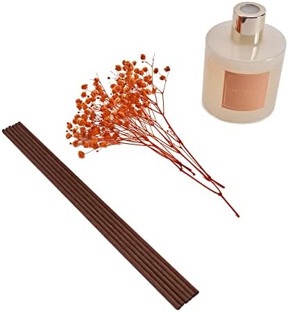 Cocorrína Premium Reed Diffuser Set with Preserved Baby's Breath & Cotton Stick Coconut Lime | 6.7oz Scent Fragrance Oil Diffuser for Bedroom Bathroom Home Décor - Image 6