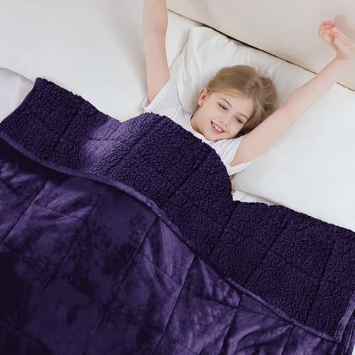 Aemicion Weighted Blanket (10lbs, 48"x72",Purple on Both Sides),Cozy Warm Sherpa Fleece Heavy Blanket Weighted Twin Size for 80-110lbs with Glass Bead,Machine Washable by Aemicion
