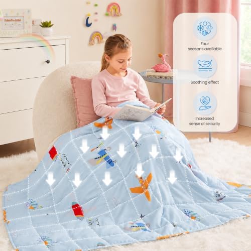 Weighted Blanket 10lbs Small Heavy Throw Blanket Gifts 50"x60" Airplane - Image 3