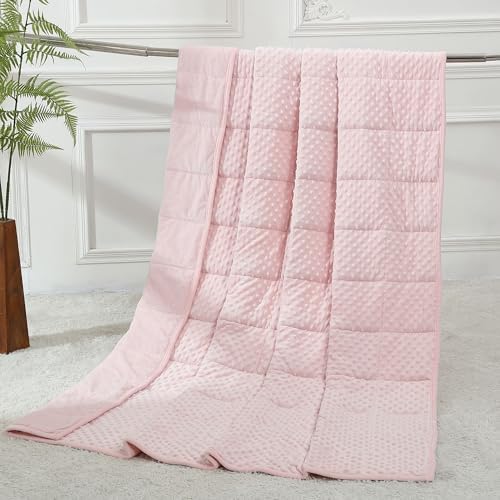 Alomidds Weighted Blanket (60"x80",15lbs Queen Size - Pink), Weighted Blankets for Adults, Cooling Breathable Soft and Comfort Minky, Heavy Blanket Microfiber Material with Glass Beads by Alomidds