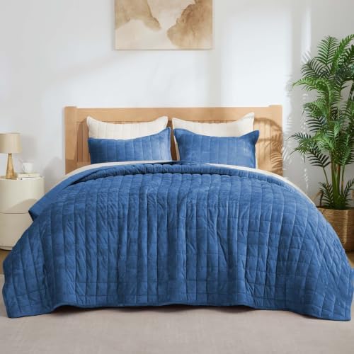 BEDELITE Velvet Quilt Set Queen Size, Luxury Velvet Comforter Bedding by BEDELITE