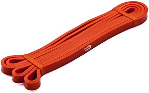 Fit Simplify Pull Up Assist Resistance Bands for Fitness, Physical Therapy, Stretching, Mobility and Exercise by FitSimplify