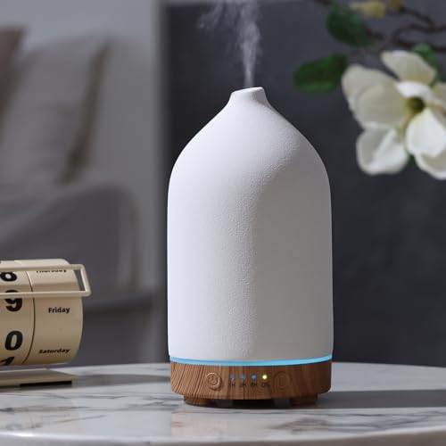 Gooamp 200ML Ceramic Essential Oil Diffuser for Home, Stone Diffuser by Gooamp
