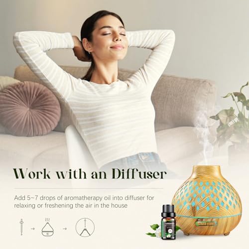 Essential Oils Set - 32x5ml Pure Aromatherapy Essential Oils Kit for Diffuser, Humidifier, Aromatherapy, Massage, Skin & Hair Care - Lavender, Tea Tree, Eucalyptus, Sandalwood, Peppermint, Rosemary - Image 4