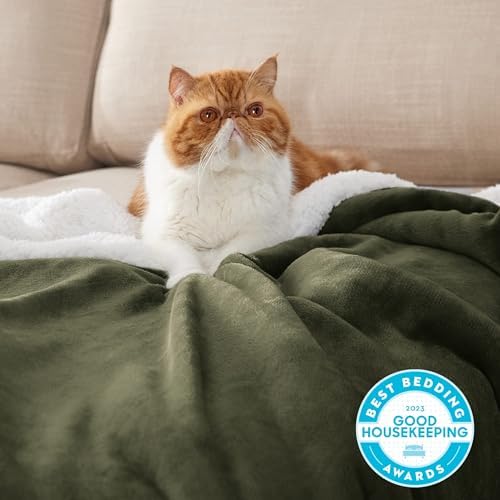 Bedsure GentleSoft Sherpa Fleece Twin Size Blanket for Couch, Non-Heated, Thick and Warm Throw for Women and Men, Soft Fuzzy Plush Twin Blanket for Winter, Olive Green, 60x80 Inches - Image 2