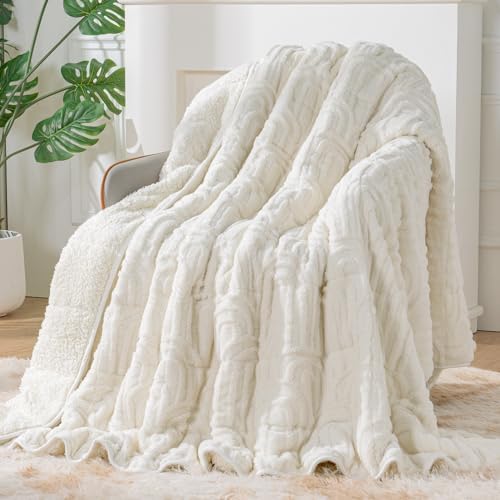 Sherpa Fleece Weighted Blanket for Adults, Dual Sided Soft, 60"x80" 15lbs by EazfyPro
