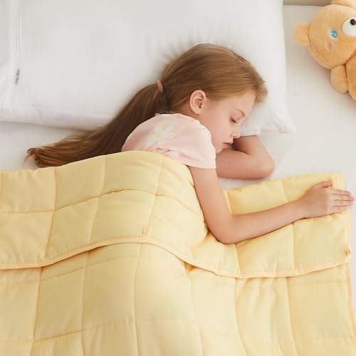 L'AGRATY Weighted Blanket - 36"x48" 3lbs Microfiber Material with Glass Beads Small Blanket for All-Season Summer Fall Winter Soft Thick by LAGRATY