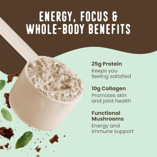 FlavCity All in One Protein Shake Powder, Mint Chocolate - On the Go Meal Alternative + Collagen Peptides, Reishi & Cordyceps - Focus, Skin, Hair & Joint Support - 100% Grass Fed Whey, 20 Servings - Image 4