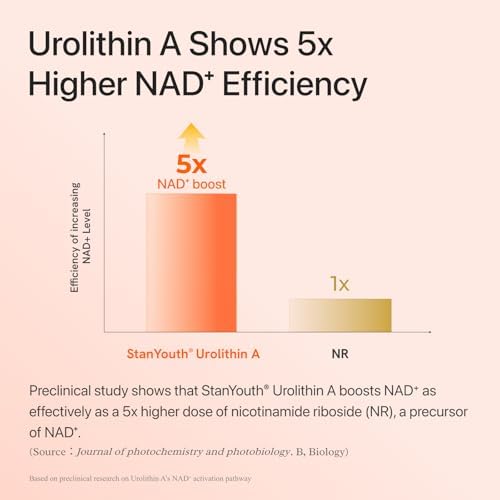 Gynable Urolithin A Supplement with NMN & PQQ, Cellular Energy - Image 6