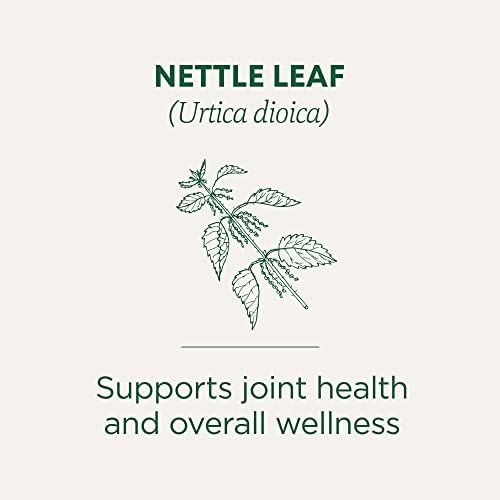 Traditional Medicinals Organic Nettle, 16 Tea Bags - Image 3