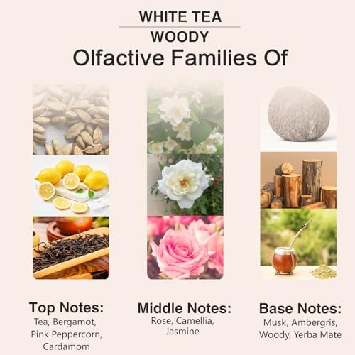 PHATOIL White Tea Fragrance Oil for Diffuser Aromatherapy 3.38FL.OZ - Image 4