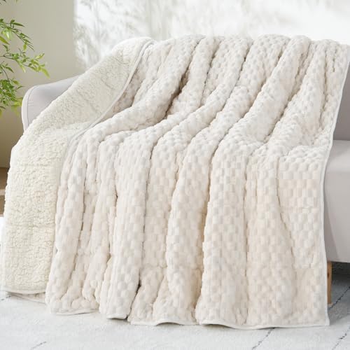 Drewin Weighted Blanket Queen Size 15lbs for Adults,Cream White,60" x 80" by Home