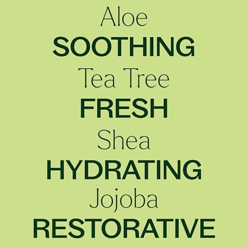 Plant Therapy Tea Tree Body Lotion with Aloe and Shea - Image 4
