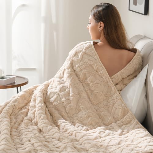 Drewin Weighted Blanket Queen Size for Adults 17lbs,Beige,60 x 80 inches by Home