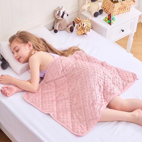 yescool Pink Weighted Lap Pad 2 lb Small Lap Blanket, Weighted Lap Blanket Minky Weighted Throw Blankets, Blankets Gifts for Travel Outdoor Indoor, 20 * 30in - Image 4