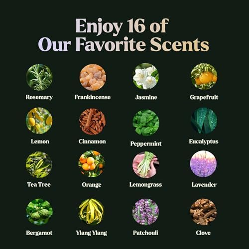 Essential Oils Set - 16 Pcs Premium Grade Home Essentials Oils - for Diffusers, Fragrance, Scents for Candle Making - Natural Aromatherapy Oils for Cars & Home Products, Room Sprays - Image 3