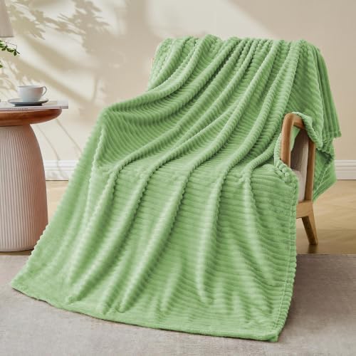 Bnuitland Fleece Throw Blanket, 300GSM Soft Warm Cozy Fluffy Throw for Babys & Pets, Stripe Pattern, All Season Sofa Bed Blanket for Home Decor, Light Green 50"x60" by BNUITLAND