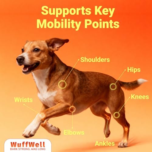 WuffWell Liquid Joint Support for Dogs, USA Made - Liquid Glucosamine - Image 6