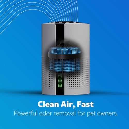 Kenmore Air Purifiers Up to 348 Sq.Foot with H13 True HEPA Filter - Image 5