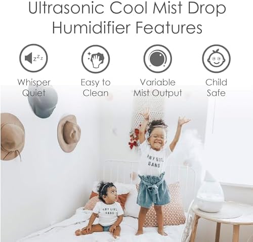 Crane Ultrasonic Cool Mist Humidifier for Bedroom, Baby Nursery, Kids Room, Plants, or Office, Large 1 Gallon Tank, Filter Optional, Clear and White - Image 2