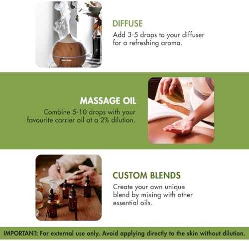 Majestic Pure Thyme Essential Oil for Diffuser - 4 Fl Oz - Image 3