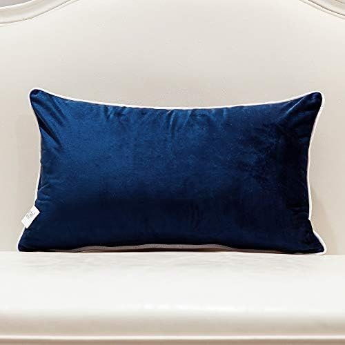 Avigers Lumbar Pillow Cover 12 x 20 Inch, Blue, Velvet, Hidden Zipper - Image 2