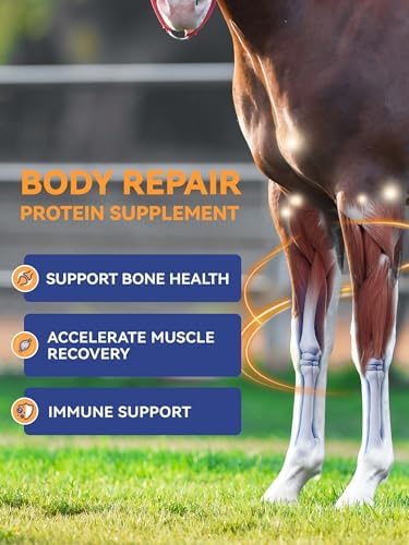 100-Day Supply Equine Body Repair Protein Supplement-Amino Acids Speed up Muscle Recovery After Exercise Promote Healthier Joints - Image 2