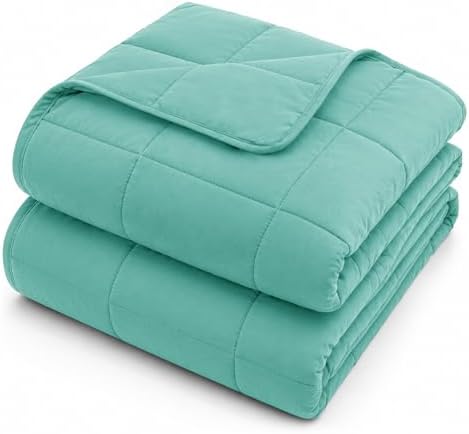 L'AGRATY Weighted Blanket for Adults 15lbs, 48"x72", Green Twin Full Size Heavy Throw Blanket, Cooling, Breathable, Microfiber with Glass Beads, Big, Washable, All-Season by LAGRATY