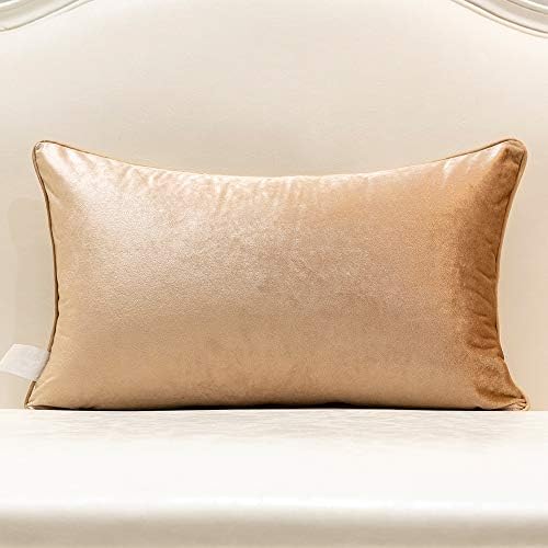 Avigers Lumbar Pillow Cover 12 x 20 Inch, Beige, Velvet, Hidden Zipper - Image 2