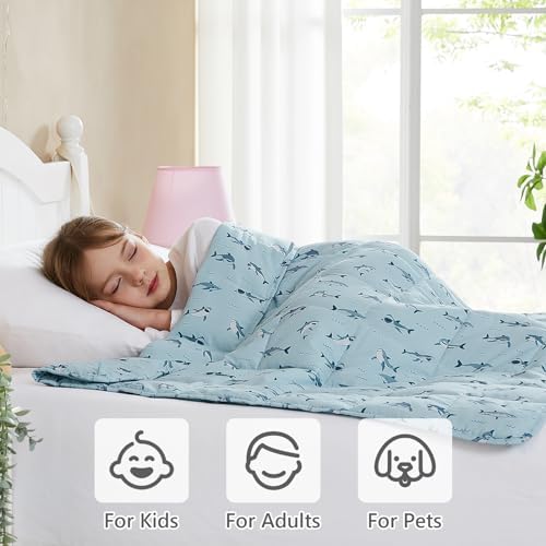 L'AGRATY Weighted Blanket - 36"x48" 3lbs Microfiber Material with Glass Beads Small Blanket for All-Season Summer Fall Winter Soft Thick - Image 5
