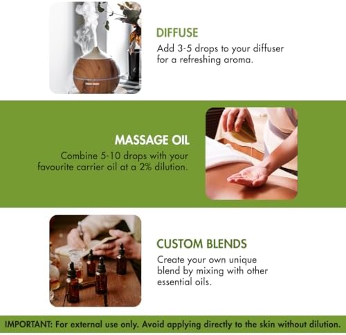 Majestic Pure Rosemary Essential Oil for Diffuser - 1 Fl Oz - Image 4