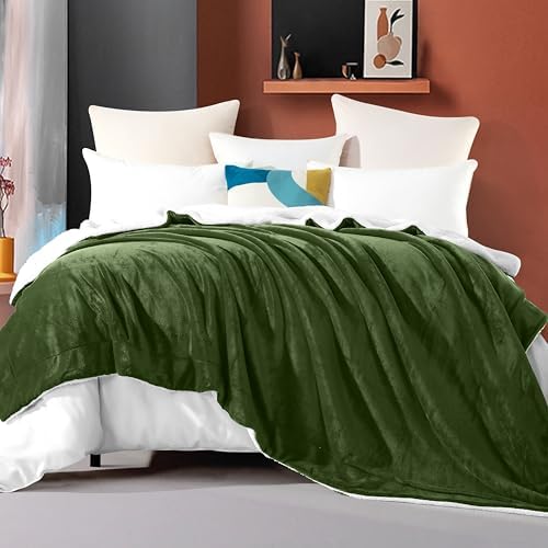 Elegant Comfort Ultra Soft Reversible Flannel Sherpa Blanket - Cozy Silky Fleece Throw for Couch, Bed - Plush Fuzzy Warm Winter Blanket for Gift, King, Sage - Image 2