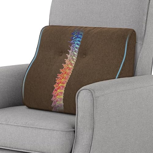 baibu Patented Dual-Layer Memory Foam Lumbar Pillow for Recliner, Brown by baibu
