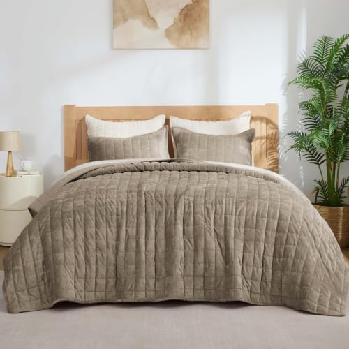 BEDELITE Velvet Quilt Set Queen Size, Luxury Velvet Comforter Bedding by BEDELITE