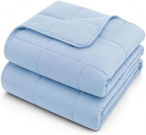 L'AGRATY Weighted Blanket for Adults 20lbs, 48"x72" Twin Full Size Cooling Heavy Blanket Breathable Microfiber Big Throw Blanket for Summer Fall Winter, Light Blue by LAGRATY