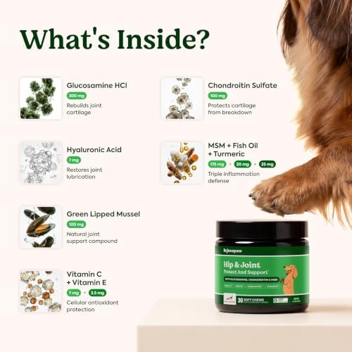Hip & Joint Supplement for Dogs – Soft Chews for Joint Mobility - Image 2