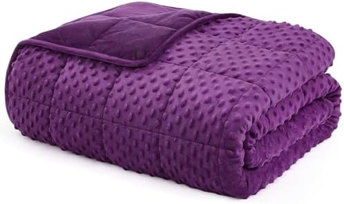 L'AGRATY Weighted Blanket for Adult - 60"x80" 20lbs Minky Dots Heavy Blanket with Glass Beads Soft Breathable for All-Season Summer Fall Winter Thick Comfort for Sleeping by LAGRATY
