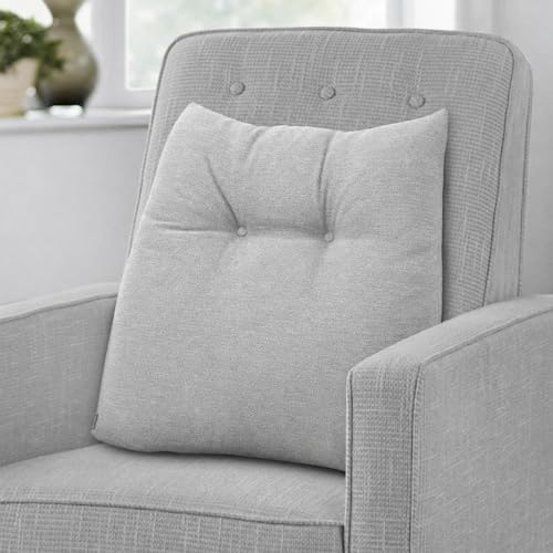 Shinnwa Lumbar Support Pillow for Office Chair, Memory Foam Back Support Pillow for Back Pain Relief, Car, Chair and Couch, 17.5x15x4.5in, Light Grey by Shinnwa