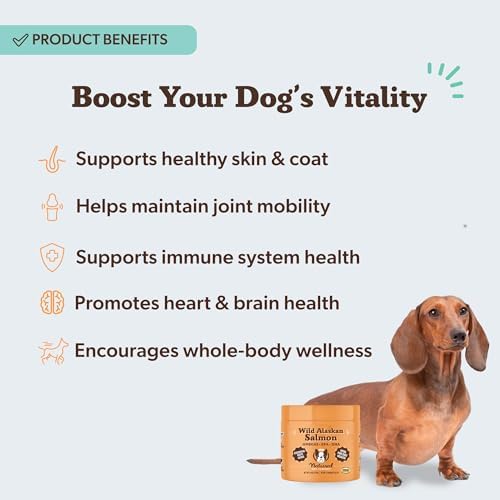 Natural Dog Company Wild Alaskan Salmon Chews for Dogs – Fish Oil Supplement with EPA & DHA for Itchy Skin, Coat, Brain, Joints & Immune Health, Daily Omega-3 Chews, 90 Count - Image 2