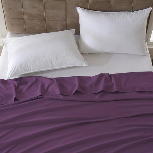 ZPECC Twin Flat Sheet Only 6 Pack, Durable Dark Purple Top Bed Sheets Hypoallergenic Soft Brushed Microfiber Color-Coded Label, 66"x96" - Image 7