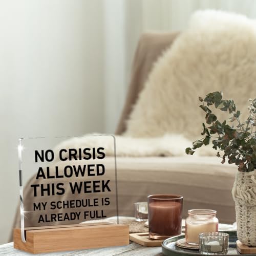 Boss Day Gifts, Cool Gifts for Bosses Women Men, Funny Boss Gift - Image 3