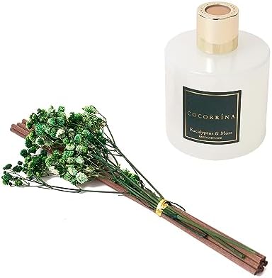Cocorrína Reed Diffuser Sets- Eucalyptus & Moss Scented Diffuser with Sticks Home Fragrance Reed Diffuser for Bathroom Shelf Decor - Image 6
