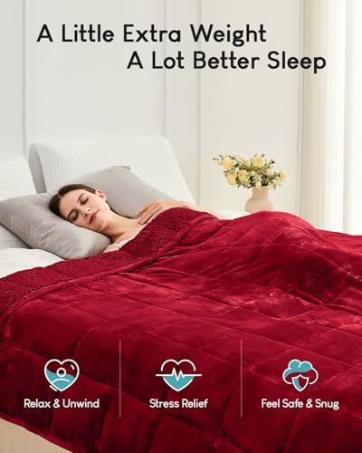 Cottonblue Sherpa Weighted Blanket for Adults 20lbs Queen Twin Size 60x80in - Image 2