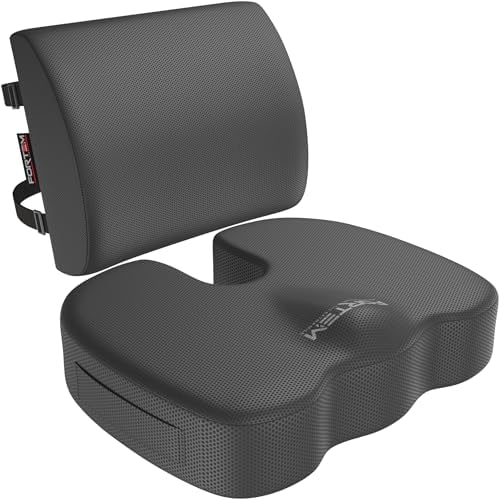FORTEM Seat Cushion & Lumbar Support for Office Chair, Wheelchair, Car by FORTEM