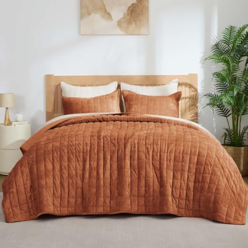 BEDELITE Velvet Quilt Set Queen Size, Luxury Velvet Comforter Bedding by BEDELITE